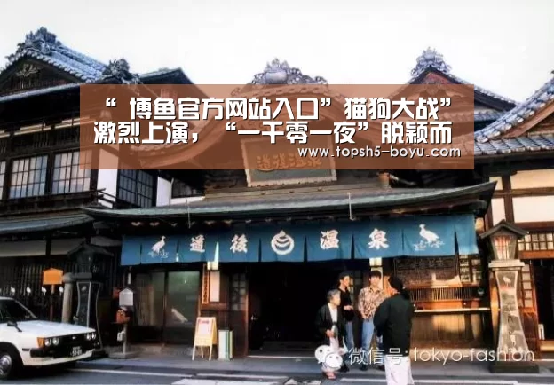  博鱼体育平台